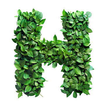 Word shape from leave A-Z