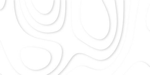 Poster - Abstract paper carve template. abstract white and gray 3d papercut topography relief vector background illustration. topographic canyon geometric map relief texture with curved layers and shadow.