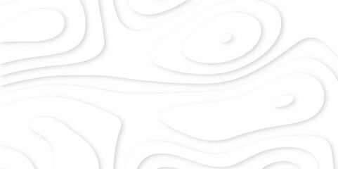 Poster - Abstract paper carve template. abstract white and gray 3d papercut topography relief vector background illustration. topographic canyon geometric map relief texture with curved layers and shadow.