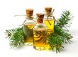 © Afaq - 3 small glass bottles of cypress oil with a white background, and green pine leaves around the bottles