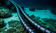 Underwater internet fiber pipeline submarine cable systems with IPLC IP transit services running through a coral reef.