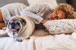 People sleeping and having relax indoor leisure activity inside camper van with her best friend pug dog on the bed. Concept of love animal and friendship. Healthy lifestyle woman enjoy relax