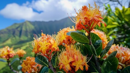 Wall Mural - Pink Hawaiian tropical flower scent plant for aroma floral perfume