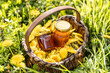 Dandelion flowers in a wicker basket with a jar of honey placed on the ground somewhere in a meadow