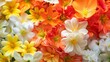 Vivid summer colors bloom in this floral design, featuring radiant orange, sunny yellow, and pure white blossoms.