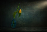 Fototapeta Natura - One yellow tulip in a small glass vase. Minimalism.