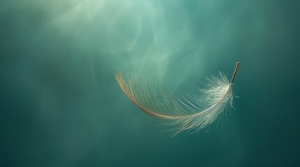   A lone white feather hovers above tranquil light blue water, illuminated by the sun