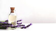 Essential lavender oil isolated on white . Free space for text