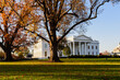 White House in Washington DC  in the morning, autumn