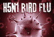Influenza H5N1 Bird flu 3d render concept: Macro virus cell and H5N1 Bird Flu text in front of blurry virus cells floating on air. 