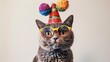 A gray cat clown in a jester hat wears funny glasses. April fool's day. White background. Isolated.
