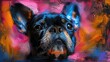 A French Bulldog with perky ears and big eyes stares at the camera with a colorful abstract background.