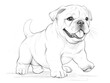 Black and white sketch of a happy bulldog puppy.