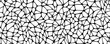 © narak0rn - A black and white organic pattern resembling a neural network