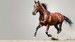 A majestic chestnut horse gallops energetically against a neutral background, showcasing its powerful physique and beautiful coat. 