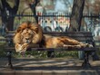 A lion is laying on a bench in a park