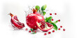 Pomegranate with water drops and leaves isolated on a white background. Red sweet fruit. Panorama