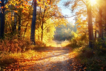 Wall Mural - Autumn Forest Background. Scenic View of Sunlit Path in Nature Wooded Area