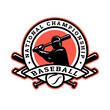 Baseball player silhouette with bat, logo, emblem.