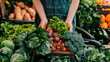many different fresh vegetables at the market. Selective focus.