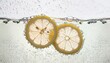 Two vibrant lemon slices float gently in the fizzy effervescence of a chilled soda, their citrusy essence infusing the drink with a refreshing zest.