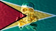 Guyana Flag Infused with Jolly Roger Spirit in Fluid Reflection