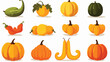 Autumn pumpkin butternut squash and gourd of differ