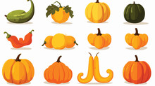 Autumn Pumpkin Butternut Squash And Gourd Of Differ