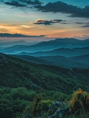 Canvas Print - Mountains are covered in lush green trees