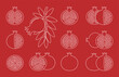Pomegranate outline, Line. Isolated pomegranate on white background
