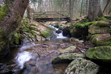 waterfall in the forest