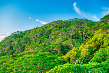 Wall Mural - Amazing landscape of La Digue Island in the Seychelles Archipelago