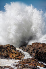 Canvas Print - Big stormy sea wave splash