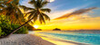 Peaceful summer background with space for text. beautiful sunset on a desert island with palm trees leaning towards the ocean. the ocean washes the sandy beach with waves. Generative AI