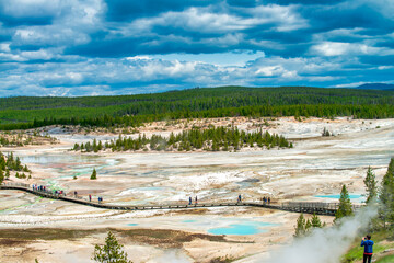 Sticker - Norris Geyser Basin, Yellowstone National Park