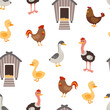 cartoon farm birds seamless pattern
