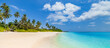 Paradise island beach. Tropical landscape of summer scene, sea waves. Sunny sand sky palm trees. Luxury travel vacation destination. Exotic tourism landscape. Amazing nature freedom coast Maldives