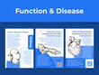 Medical healthcare human internal organ function disease poster design template set vector
