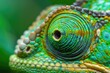 Close Up Color. Green Chameleon Face in Detailed Close-up View
