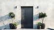 A minimalist steel door framed by symmetrical potted plants.