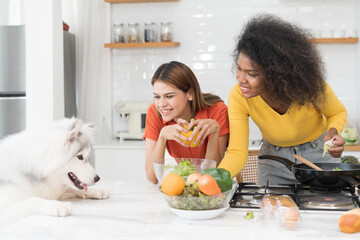 Wall Mural - Two young woman cooking salad and playing with dog on table in kitchen room at home