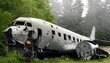 Crashed plane in the forest