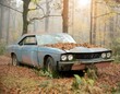 Abandoned car in the forest