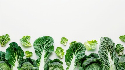 Wall Mural - Border of artificial Cabbage on white background with empty space, top view