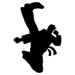 Wall Mural - taekwondo kick vector