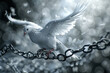 A white dove breaking free from chains.