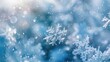 © Eireen - Close up of snowflake on blurred winter background. Seasonal Christmas banner with snow and free place for text