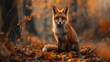 A fox sitting in forest