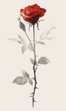 Fototapeta  - Graphic drawing of a rose for a postcard
