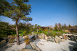 A kareike style dry pond in a Japanese garden in a public park. The stones are arranged to form a pond shape. Spring beautiful plant landscape.	